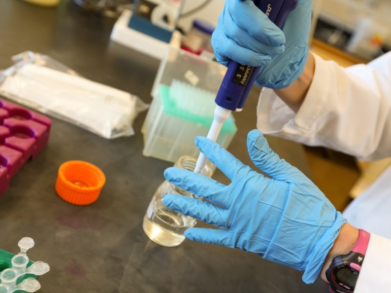 gloved hands using a pipette in a research lab