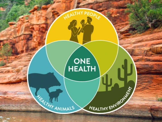 One Health logo