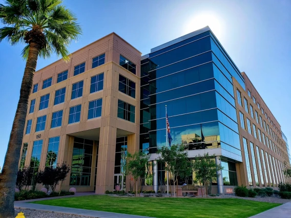 building with palm tree