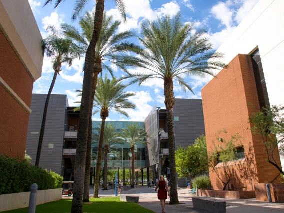 UAHS campus, Looking south into Drachman Hall
