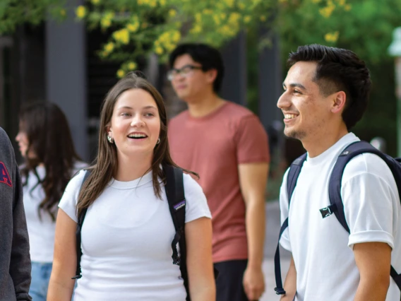 Cover of 25 Years Report