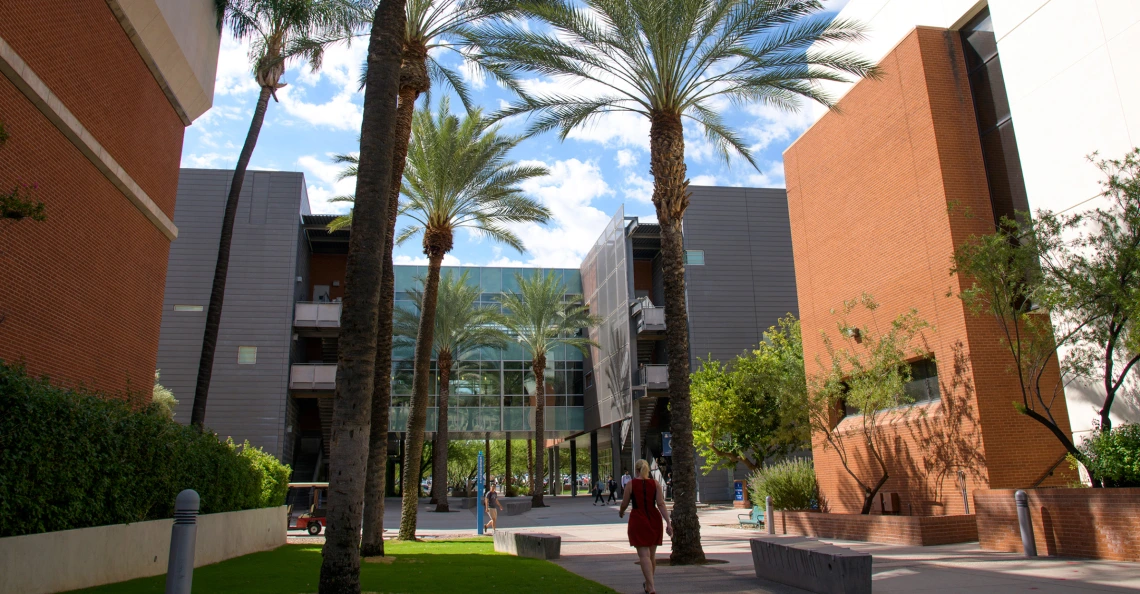UAHS campus, Looking south into Drachman Hall