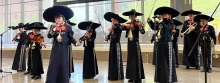 Young Mariachi group performing