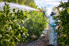 Pesticides being sprayed in field