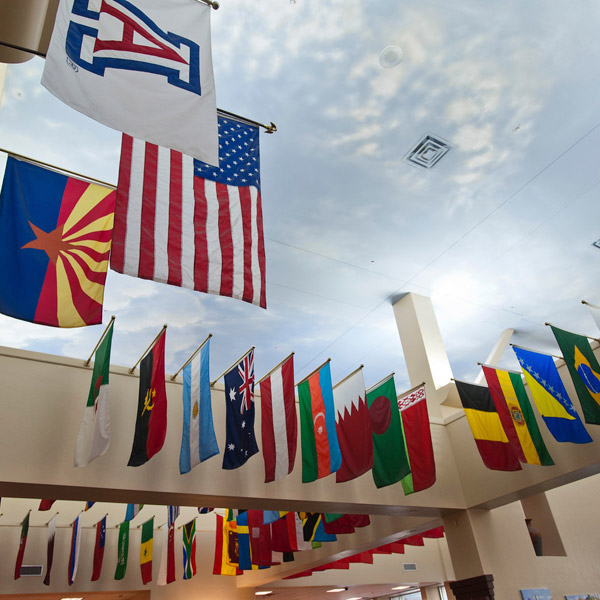 Photo of many flags of multiple nations