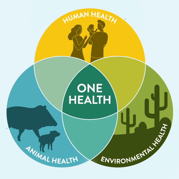 One Health graphic