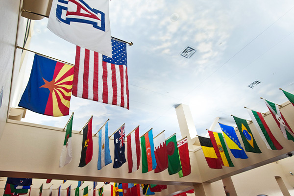 UA and World flags