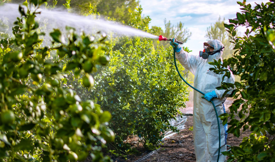 Farmer with protective clothing on spraying pesticides