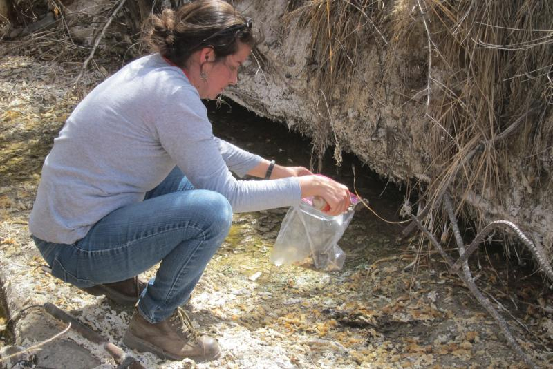 Dr. Paloma Beamer takes a sediment sample near Shiprock, NM.