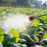 Pesticide spraying on produce