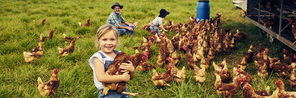 Child in field with chickens